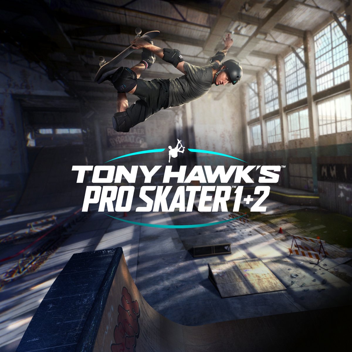 Tony Hawks banner